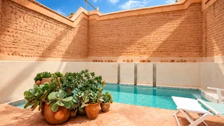 La piscine et les plantes de la terrasse